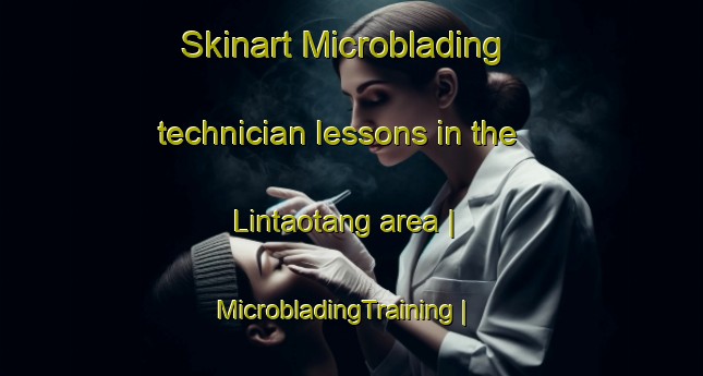 Skinart Microblading technician lessons in the Lintaotang area | MicrobladingTraining | MicrobladingClasses | SkinartTraining-China